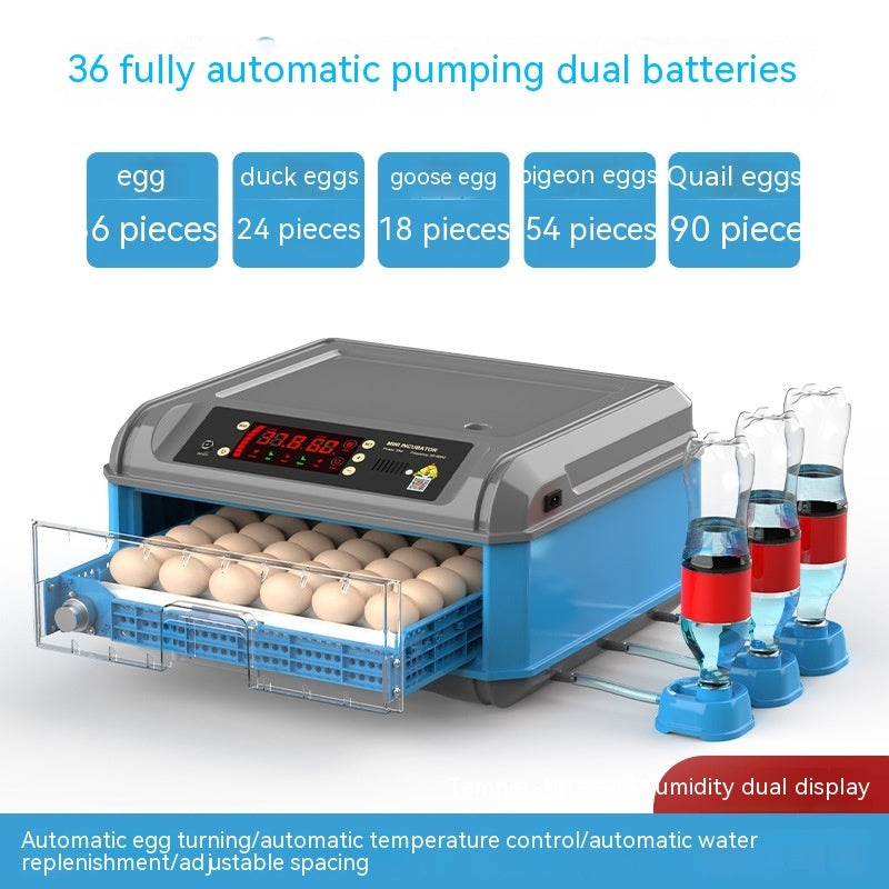 Egg Incubator